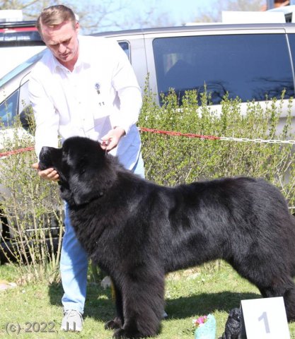 KV Chržín 2022 - CAC, Kl.vítěz