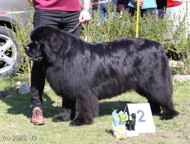 KV Chržín 2022 - CAC, Kl.vítěz