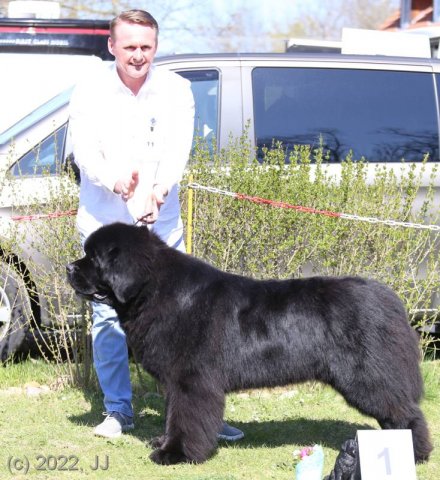 KV Chržín 2022 - CAC, Kl.vítěz