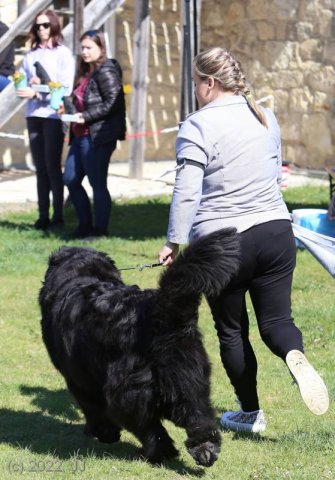 KV Chržín 2022 - CAC, Kl.vítěz