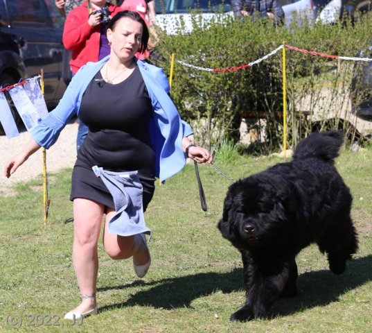 KV Chržín 2022 - CAC, Kl.vítěz