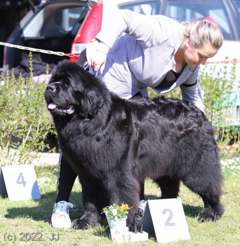 KV Chržín 2022 - CAC, Kl.vítěz