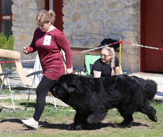 KV Chržín 2022 - CAC, Kl.vítěz