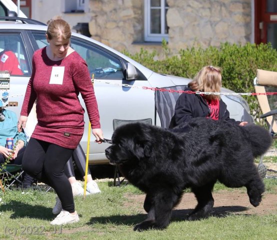 KV Chržín 2022 - CAC, Kl.vítěz
