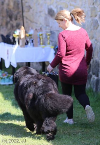 KV Chržín 2022 - CAC, Kl.vítěz