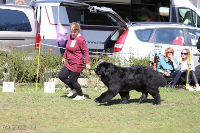 KV Chržín 2022 - CAC, Kl.vítěz