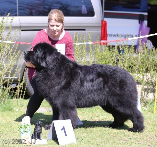 KV Chržín 2022 - CAC, Kl.vítěz
