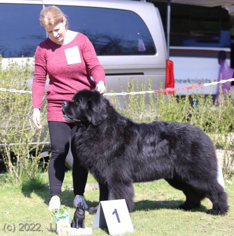 KV Chržín 2022 - CAC, Kl.vítěz