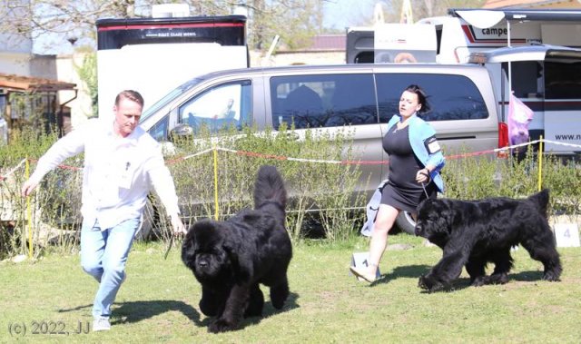 KV Chržín 2022 - CAC, Kl.vítěz