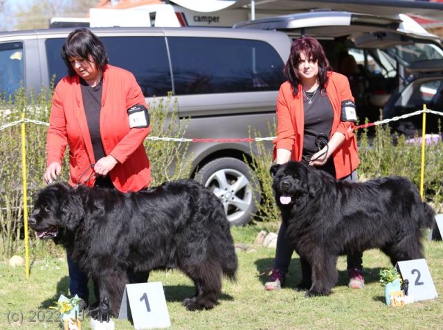 KV Chržín 2022 - CAC, Kl.vítěz