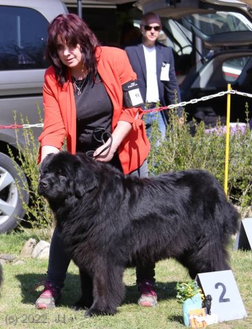 KV Chržín 2022 - CAC, Kl.vítěz