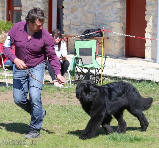 KV Chržín 2022 - CAC, Kl.vítěz