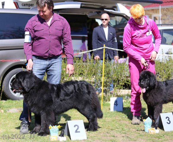 KV Chržín 2022 - CAC, Kl.vítěz