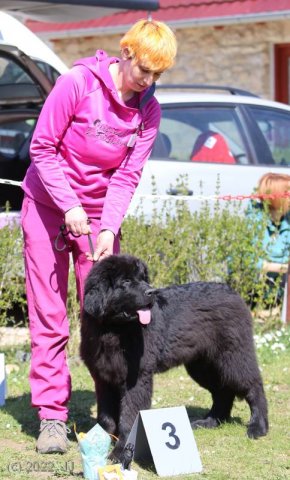 KV Chržín 2022 - CAC, Kl.vítěz