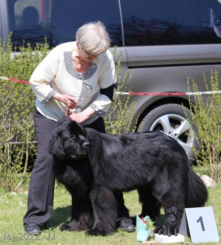 KV Chržín 2022 - CAC, Kl.vítěz