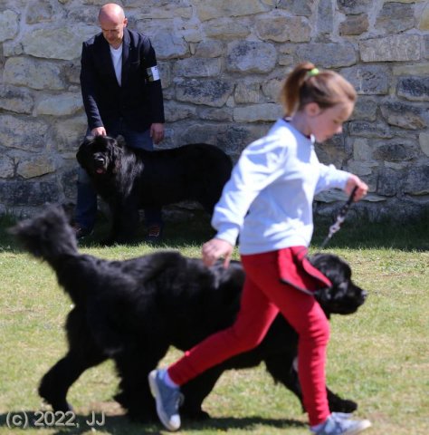 KV Chržín 2022 - CAC, Kl.vítěz