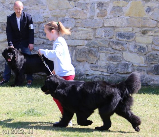 KV Chržín 2022 - CAC, Kl.vítěz