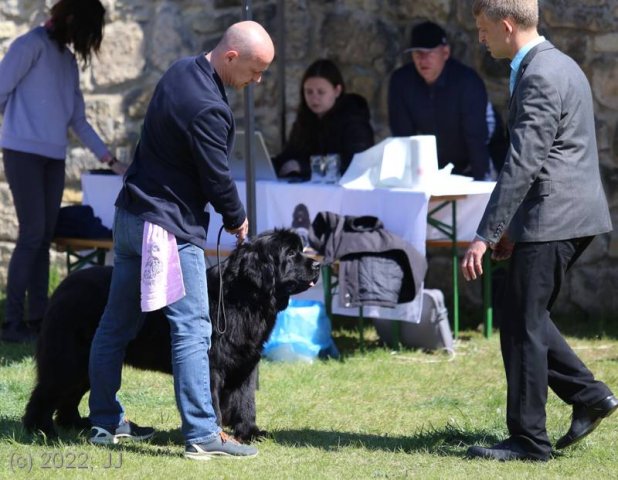 KV Chržín 2022 - CAC, Kl.vítěz