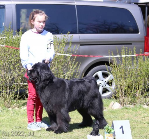 KV Chržín 2022 - CAC, Kl.vítěz