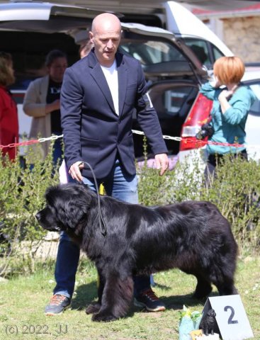 KV Chržín 2022 - CAC, Kl.vítěz