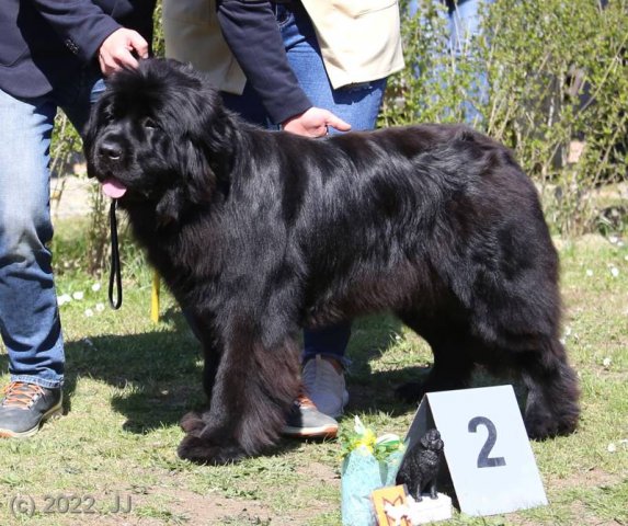 KV Chržín 2022 - CAC, Kl.vítěz