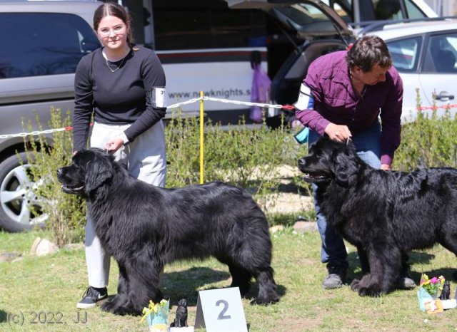 KV Chržín 2022 - CAC, Kl.vítěz