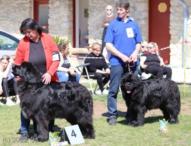KV Chržín 2022 - CAC, Kl.vítěz