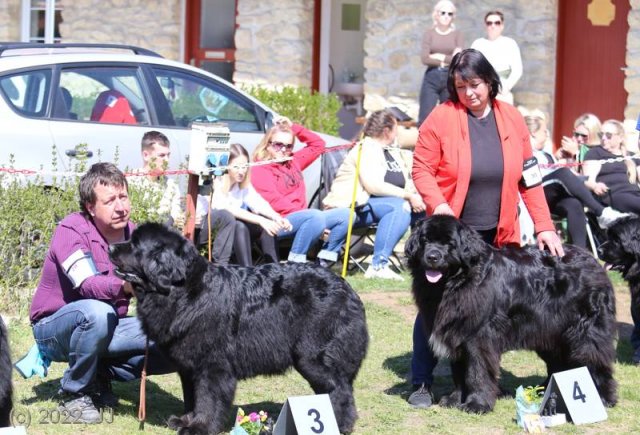 KV Chržín 2022 - CAC, Kl.vítěz