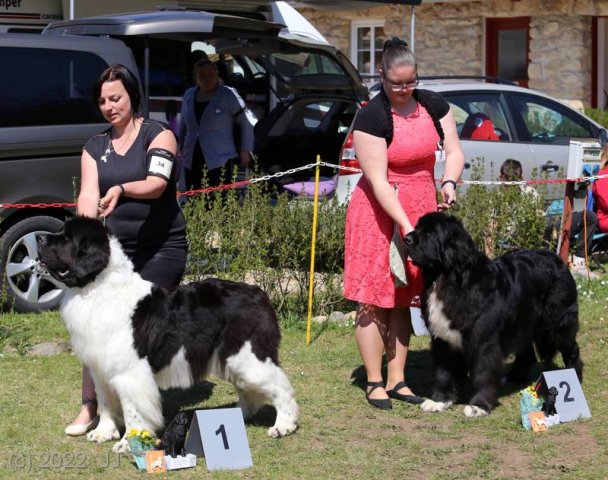 KV Chržín 2022 - CAC, Kl.vítěz