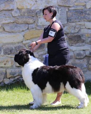 KV Chržín 2022 - CAC, Kl.vítěz