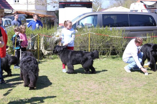 KV Chržín 2022 - CAC, Kl.vítěz