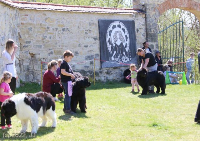 KV Chržín 2022 - CAC, Kl.vítěz