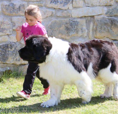 KV Chržín 2022 - CAC, Kl.vítěz