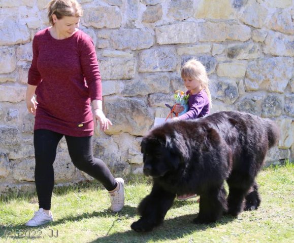 KV Chržín 2022 - CAC, Kl.vítěz