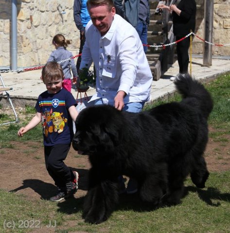 KV Chržín 2022 - CAC, Kl.vítěz