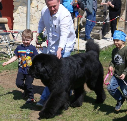 KV Chržín 2022 - CAC, Kl.vítěz
