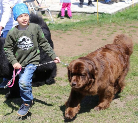 KV Chržín 2022 - CAC, Kl.vítěz
