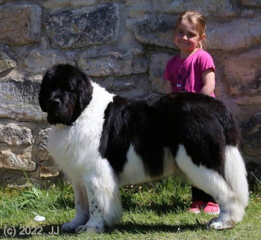 KV Chržín 2022 - CAC, Kl.vítěz