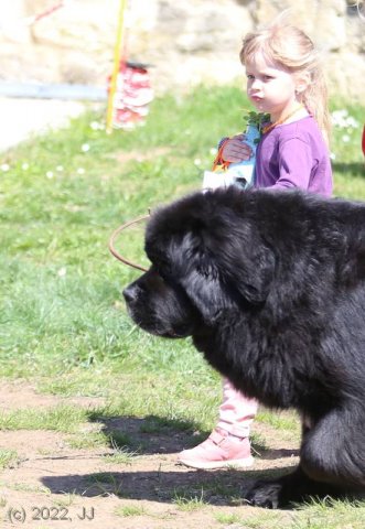 KV Chržín 2022 - CAC, Kl.vítěz