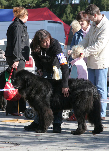 Airin Z povodí Svratky airin_z_povod_svratky.jpg