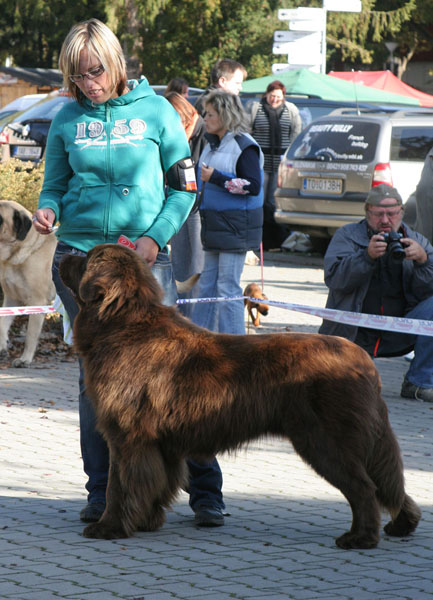 Arames Groli Bären arames_grolli_baren.jpg