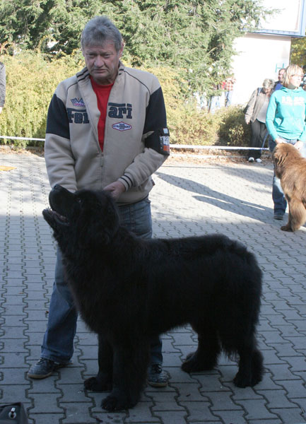 Army Queen Dannad army_queen_dannad.jpg