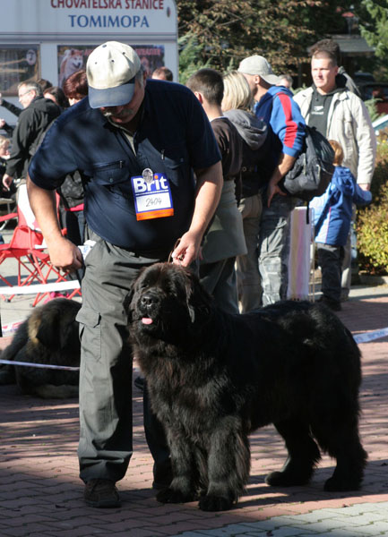 Athena Gomaru CAC athena_gomaru.jpg