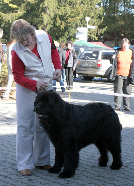 Bad od Trojské skály bad_od_trojske_skaly.jpg