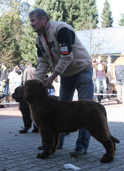 Bianca Queen Dannad bianca_queen_dannad.jpg