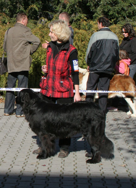 Cindy Od Janova hradu cindy_od_janova_hradu.jpg