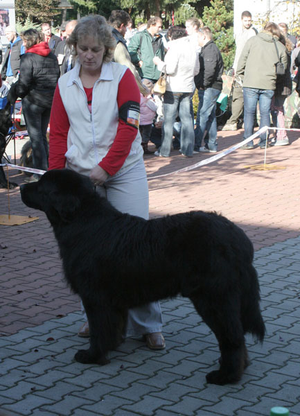 Dumas od Trojské skály dumas_od_trojske_skaly.jpg