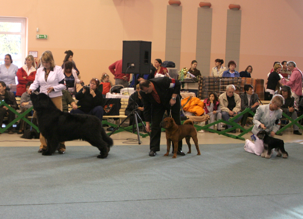 postup do výběru img_9045.jpg