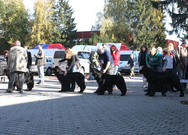 Mezitřída - feny mezitrida_-_feny.jpg