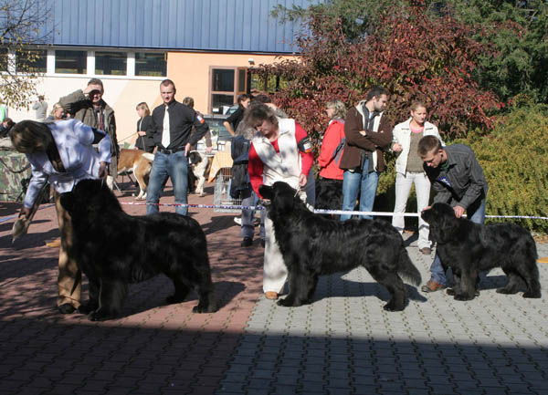 boj o titul BOB o_bob.jpg